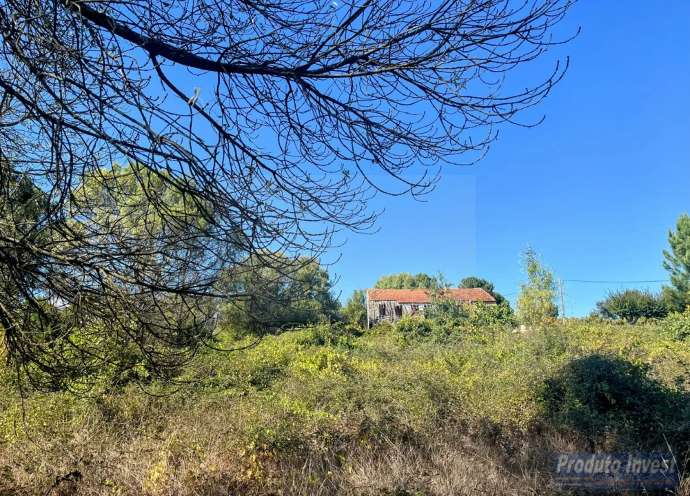 Quinta T0 para Venda em Boidobra Foto 5