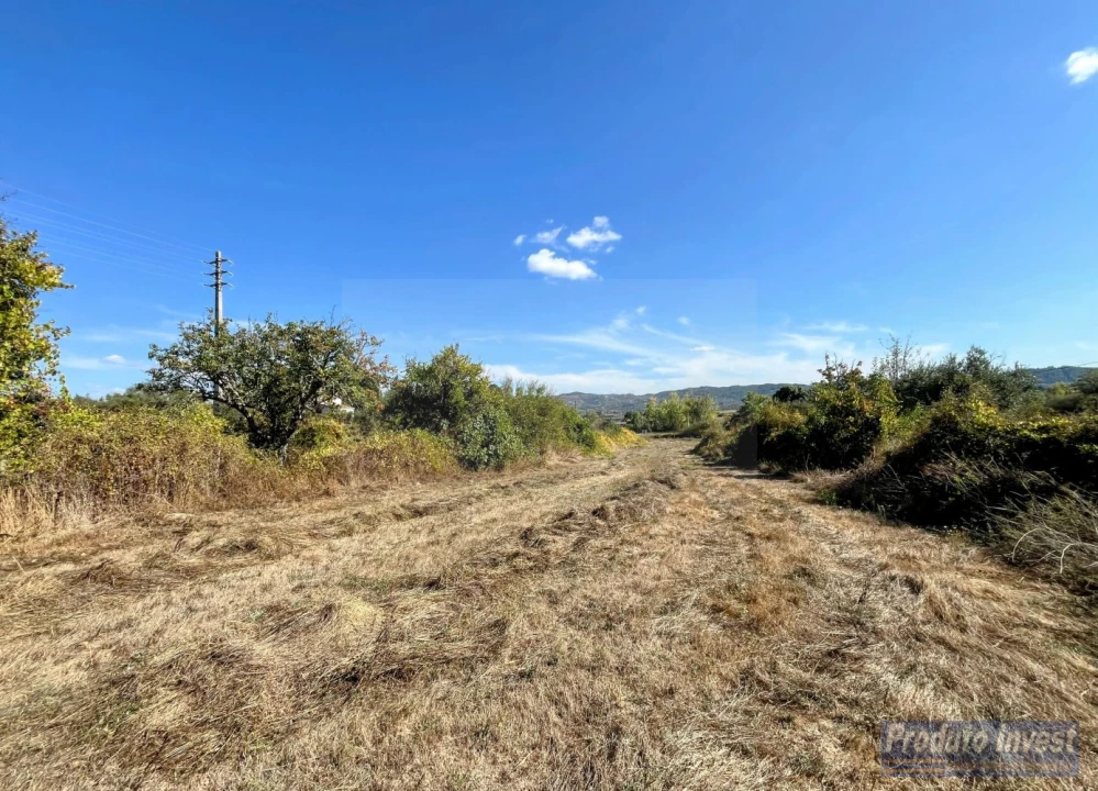 Quinta T0 para Venda em Boidobra Foto 34