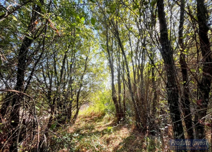 Quinta T0 para Venda em Boidobra Foto 32