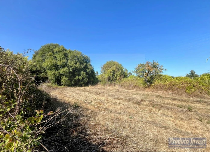 Quinta T0 para Venda em Boidobra Foto 23