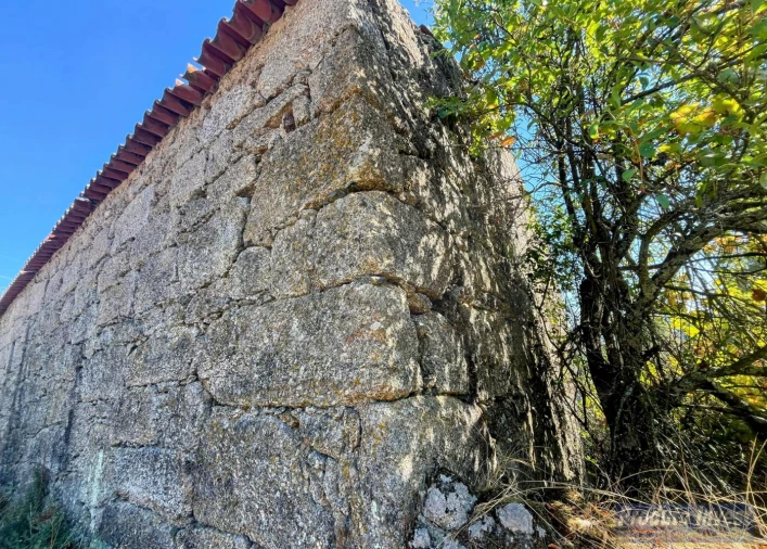 Quinta T0 para Venda em Boidobra Foto 20