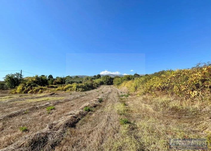 Quinta T0 para Venda em Boidobra Foto 29