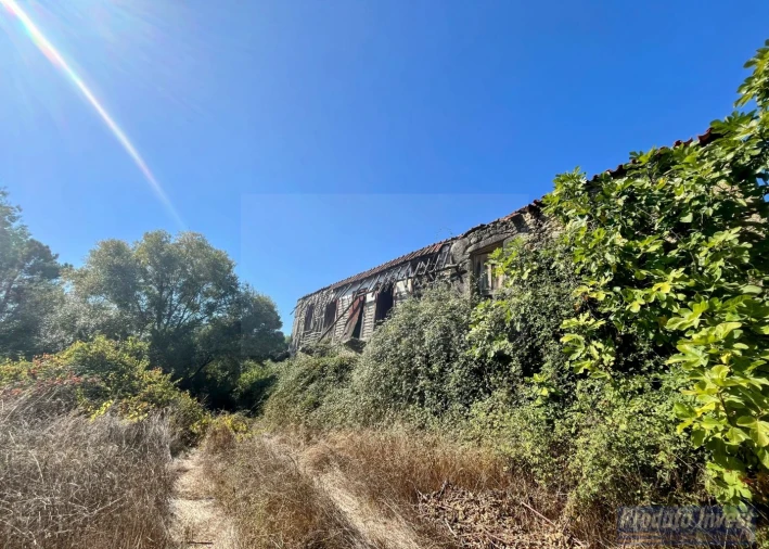Quinta T0 para Venda em Boidobra Foto 8
