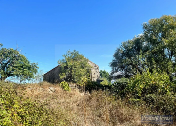 Quinta T0 para Venda em Boidobra Foto 12