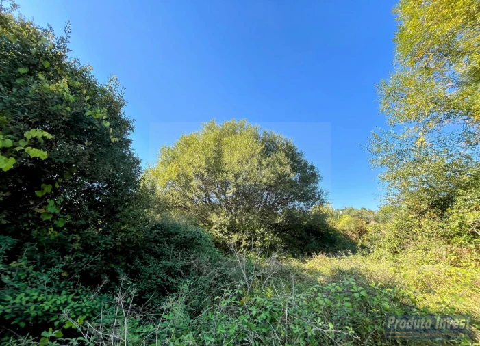 Quinta T0 para Venda em Boidobra Foto 27