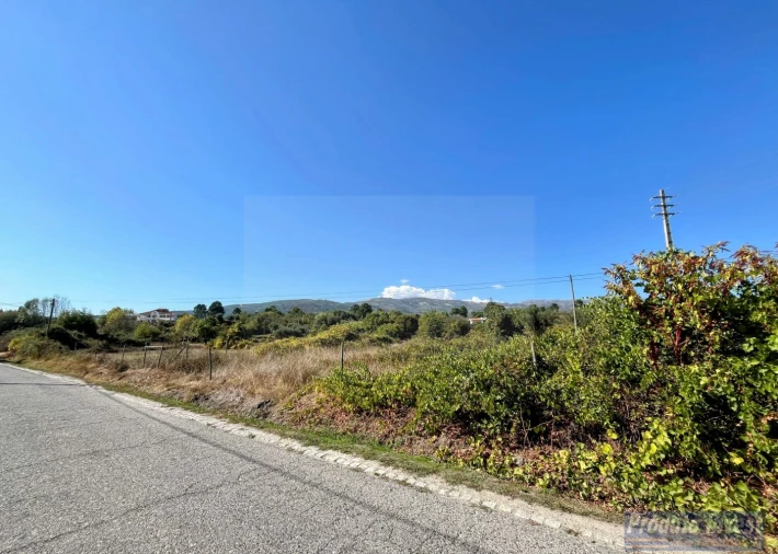 Quinta T0 para Venda em Boidobra Foto 28