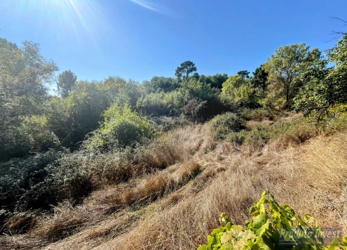 Quinta T0 para Venda em Boidobra Foto 21