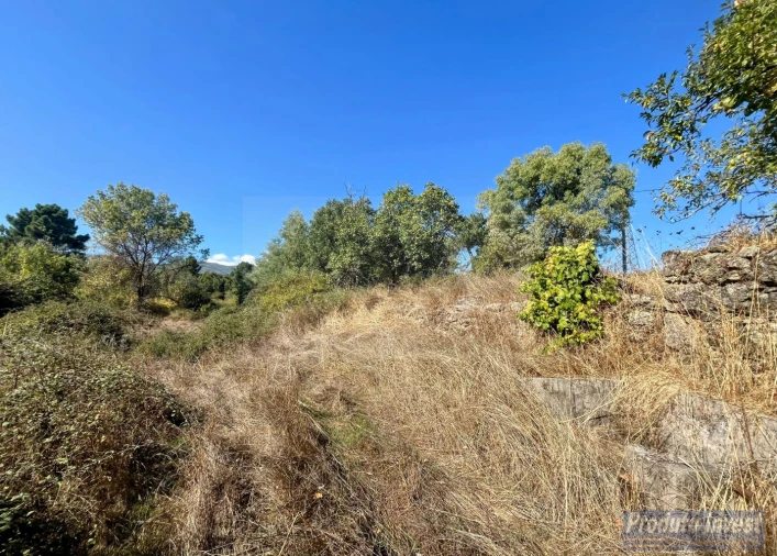 Quinta T0 para Venda em Boidobra Foto 11