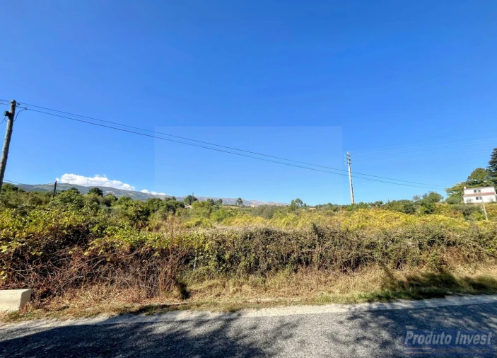 Quinta T0 para Venda em Boidobra Foto 24