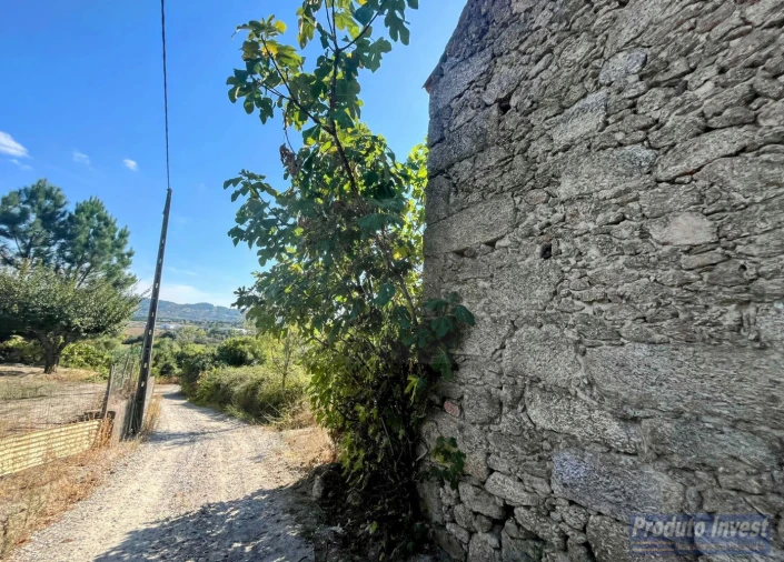 Quinta T0 para Venda em Boidobra Foto 15