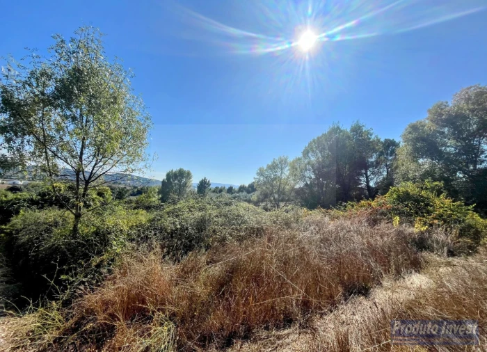 Quinta T0 para Venda em Boidobra Foto 16