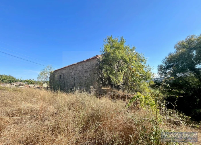 Quinta T0 para Venda em Boidobra Foto 13