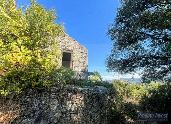 Quinta T0 para Venda em Boidobra Foto 6