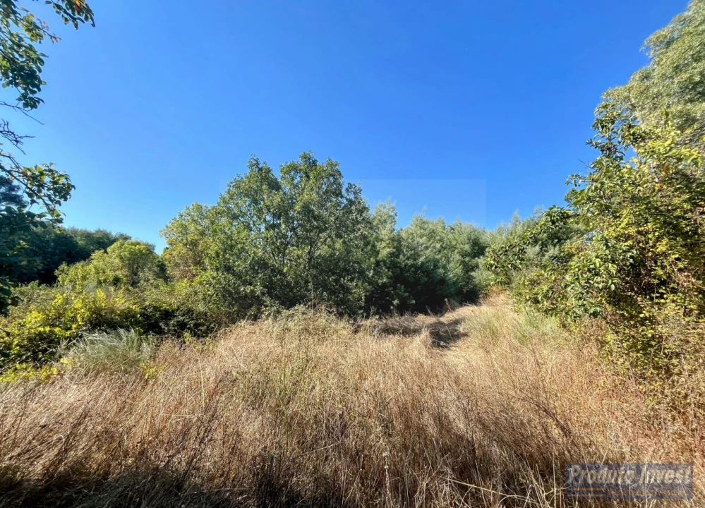 Quinta T0 para Venda em Boidobra Foto 14