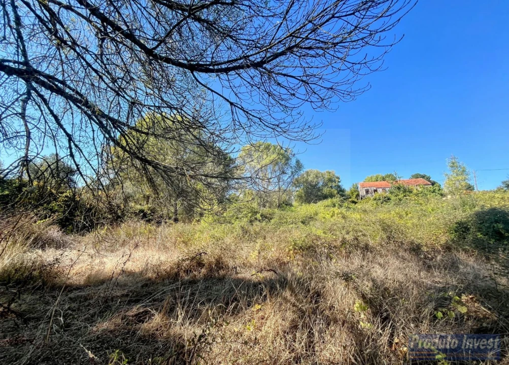 Quinta T0 para Venda em Boidobra Foto 18