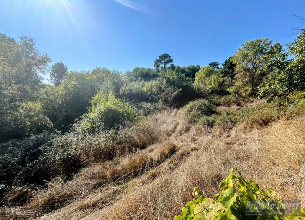 Quinta T0 para Venda em Boidobra Foto 21
