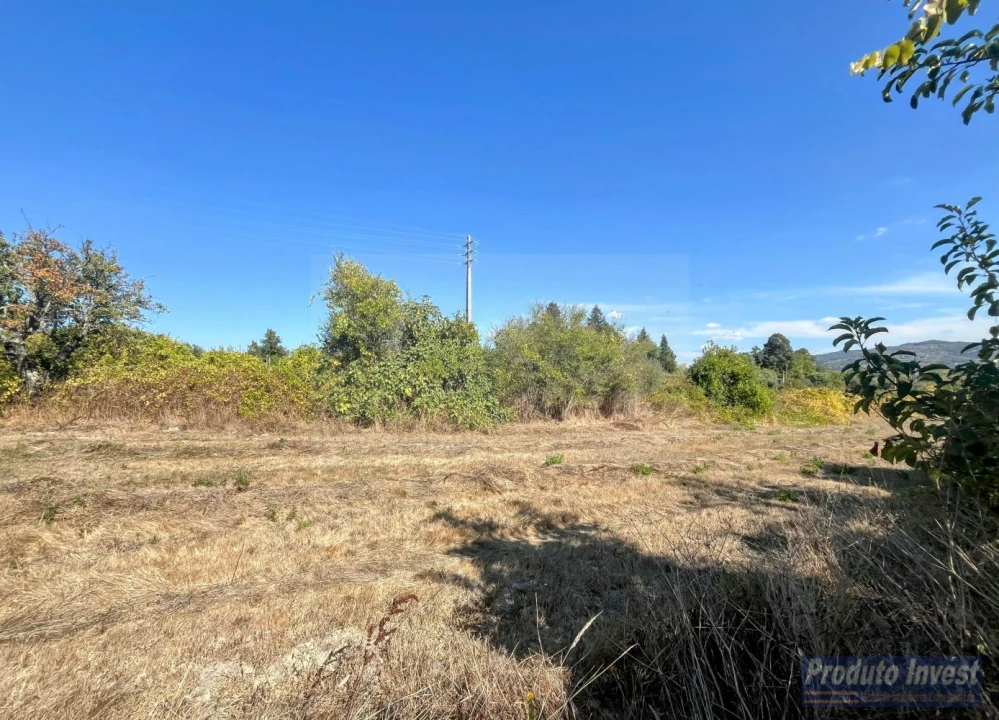 Quinta T0 para Venda em Boidobra Foto 22