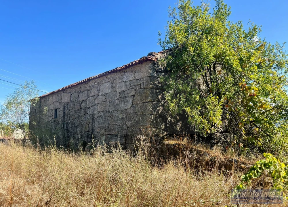 Quinta T0 para Venda em Boidobra Foto 2