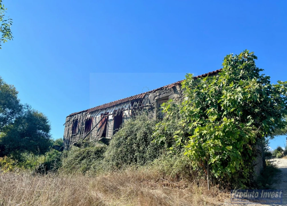 Quinta T0 para Venda em Boidobra Foto 4