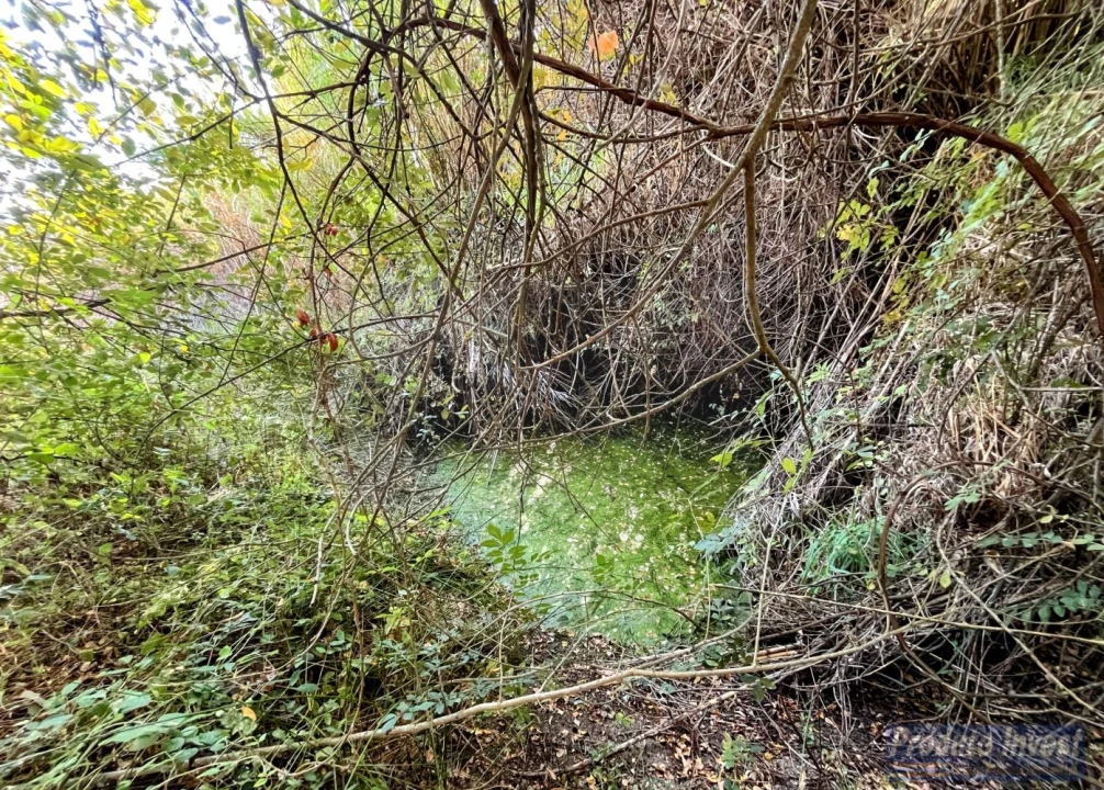Quinta T0 para Venda em Boidobra Foto 30