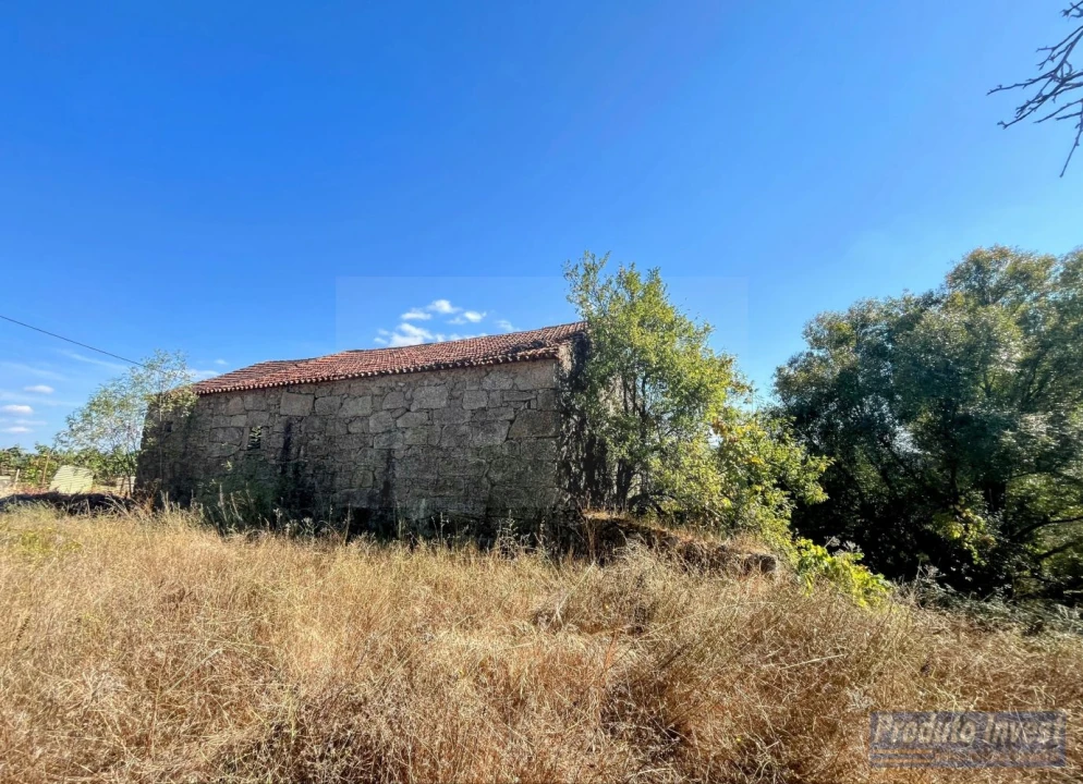 Quinta T0 para Venda em Boidobra Foto 3
