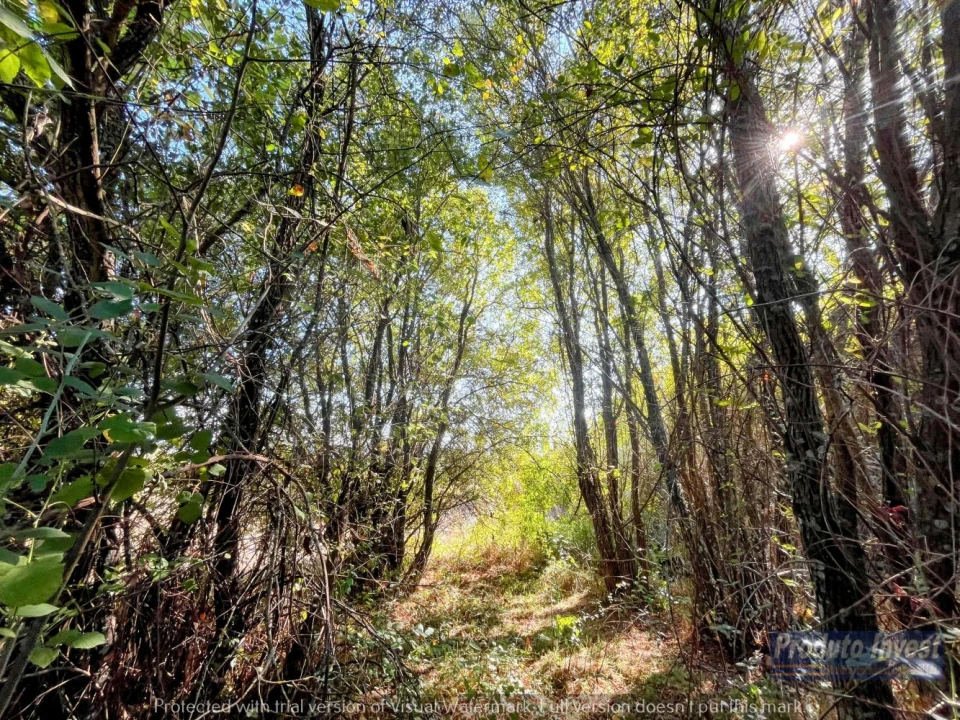 Quinta T0 para Venda em Boidobra Foto 33