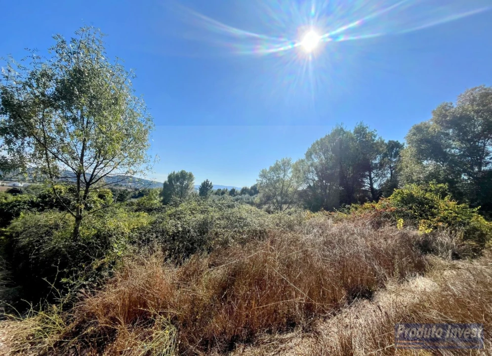 Quinta T0 para Venda em Boidobra Foto 16