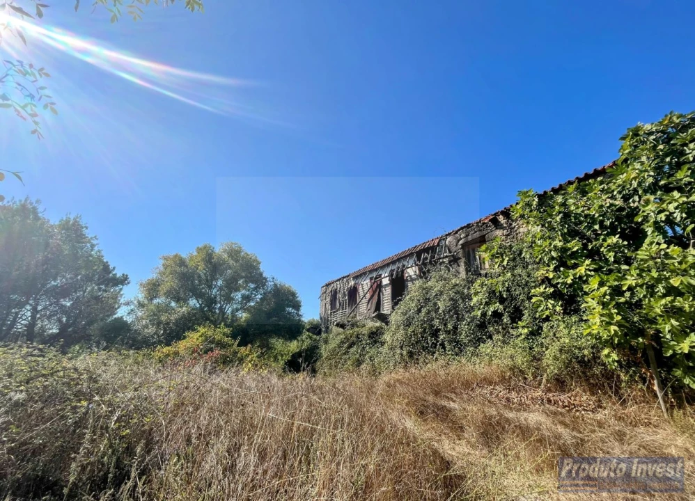 Quinta T0 para Venda em Boidobra Foto 1