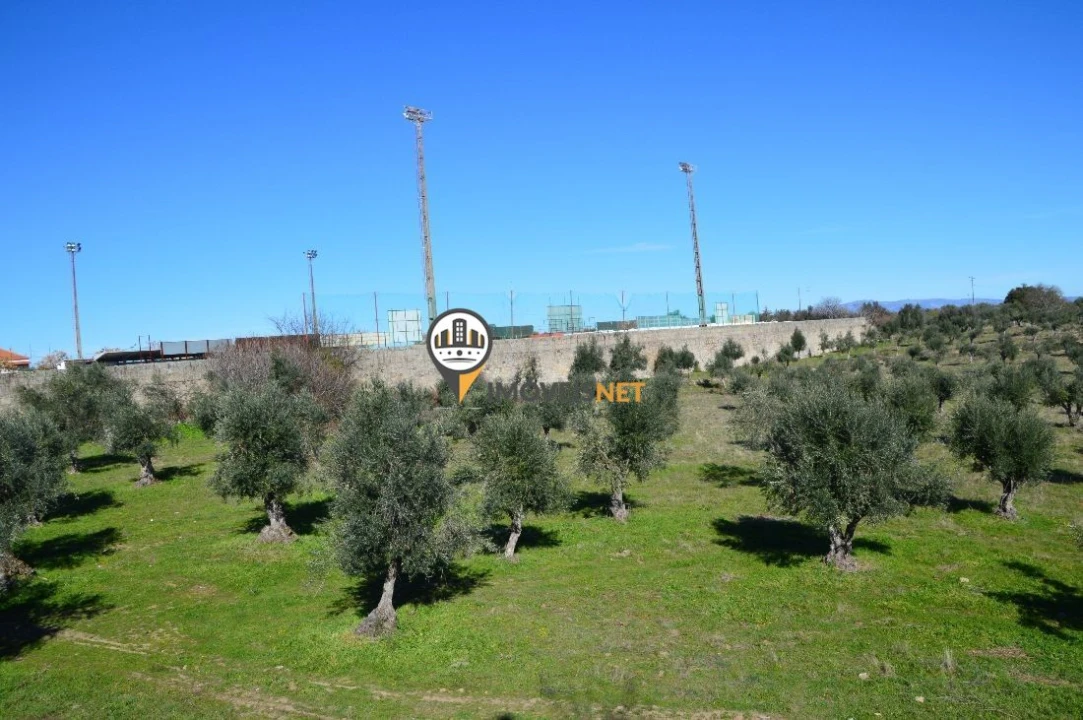 Terreno para Venda em Castelo Branco Foto 9