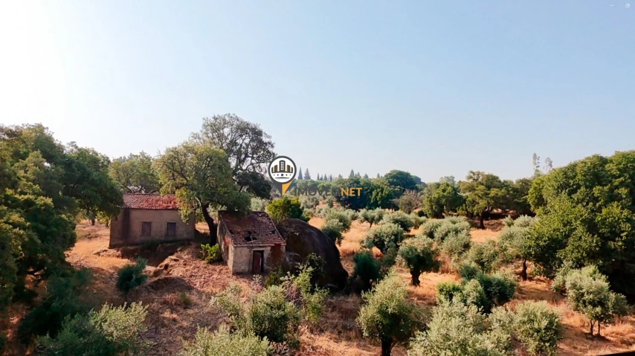 Terreno para Venda em Castelo Branco Foto 38