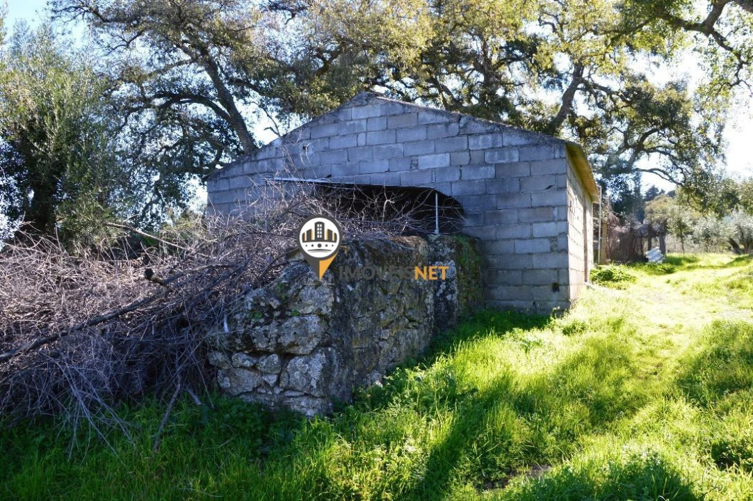 Terreno para Venda em Castelo Branco Foto 13