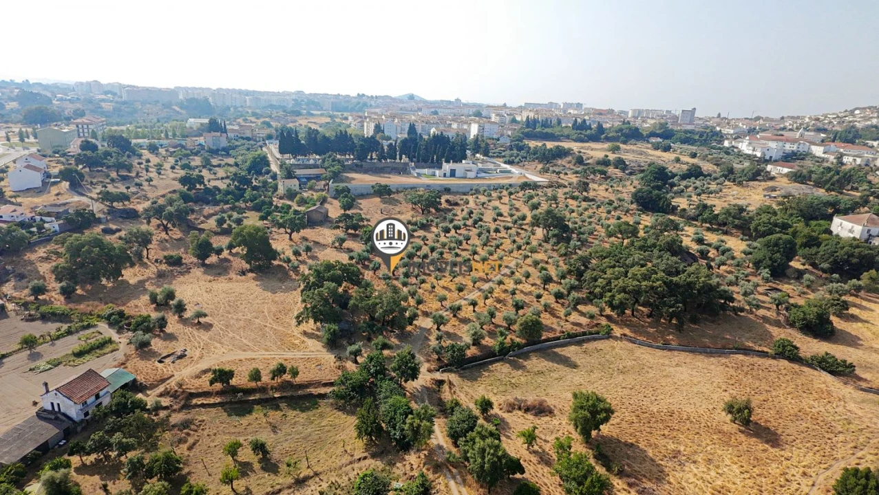 Terreno para Venda em Castelo Branco Foto 28