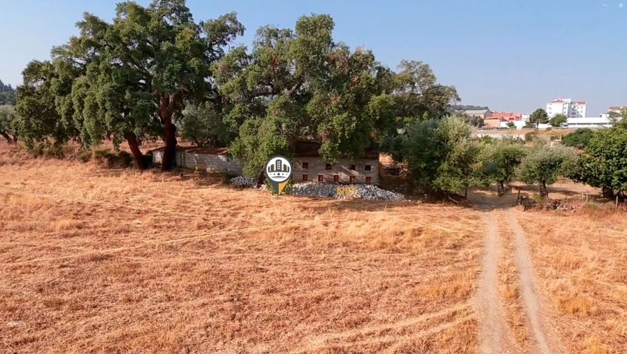 Terreno para Venda em Castelo Branco Foto 45