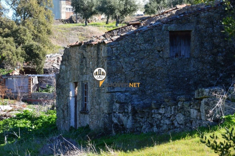 Terreno para Venda em Castelo Branco Foto 16