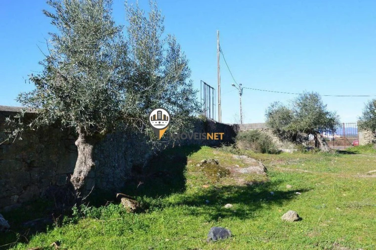 Terreno para Venda em Castelo Branco Foto 6