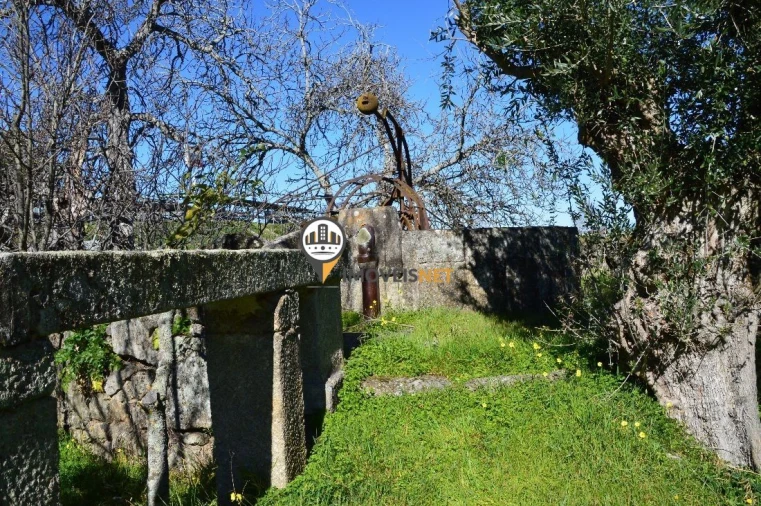 Terreno para Venda em Castelo Branco Foto 21