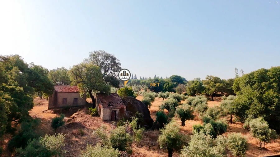 Terreno para Venda em Castelo Branco Foto 38