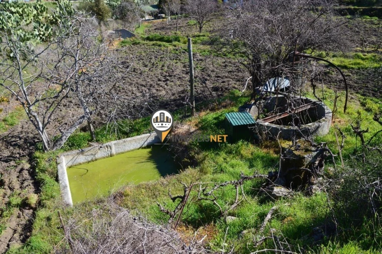 Terreno para Venda em Castelo Branco Foto 11