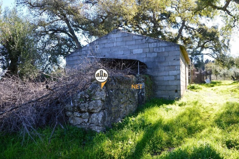 Terreno para Venda em Castelo Branco Foto 13