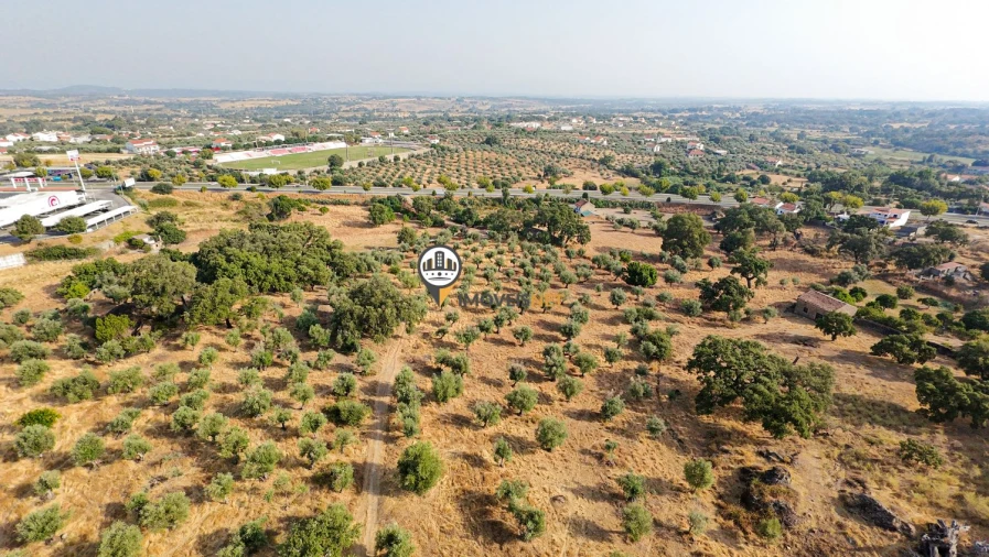 Terreno para Venda em Castelo Branco Foto 24
