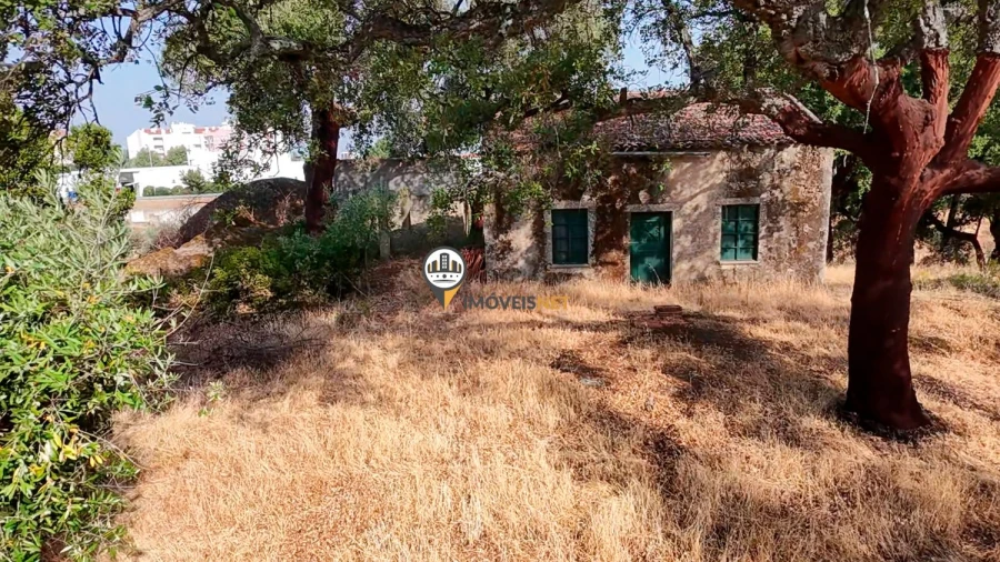 Terreno para Venda em Castelo Branco Foto 40