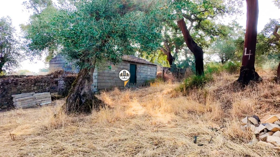 Terreno para Venda em Castelo Branco Foto 46
