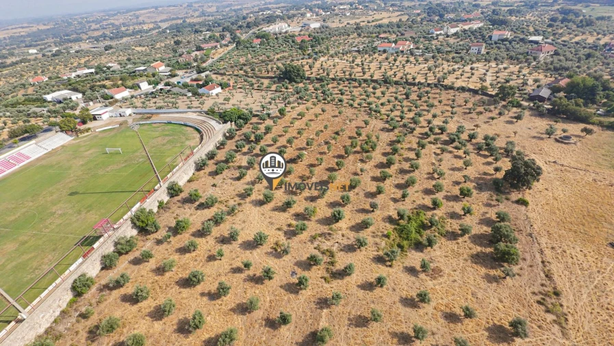 Terreno para Venda em Castelo Branco Foto 31