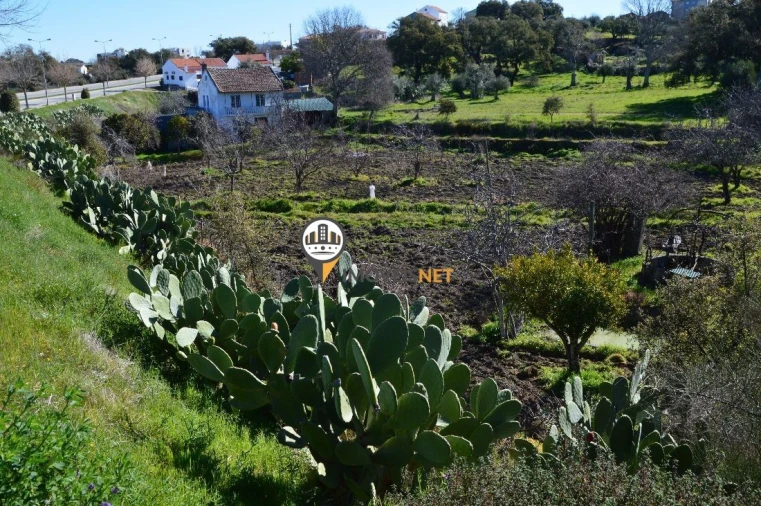 Terreno para Venda em Castelo Branco Foto 2