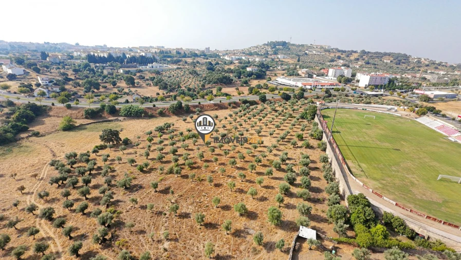 Terreno para Venda em Castelo Branco Foto 35