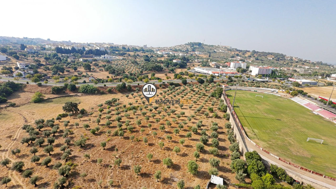Terreno para Venda em Castelo Branco Foto 33