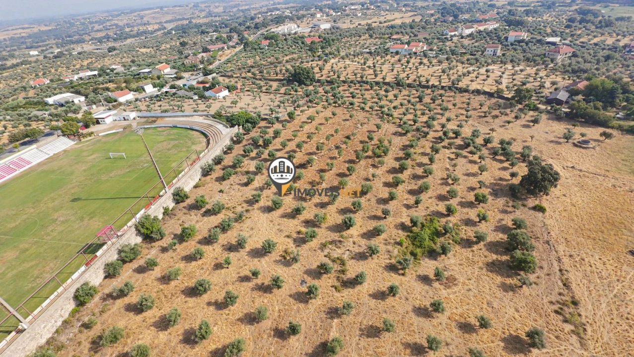 Terreno para Venda em Castelo Branco Foto 31
