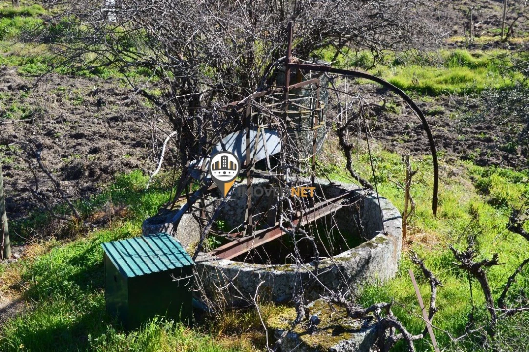 Terreno para Venda em Castelo Branco Foto 10