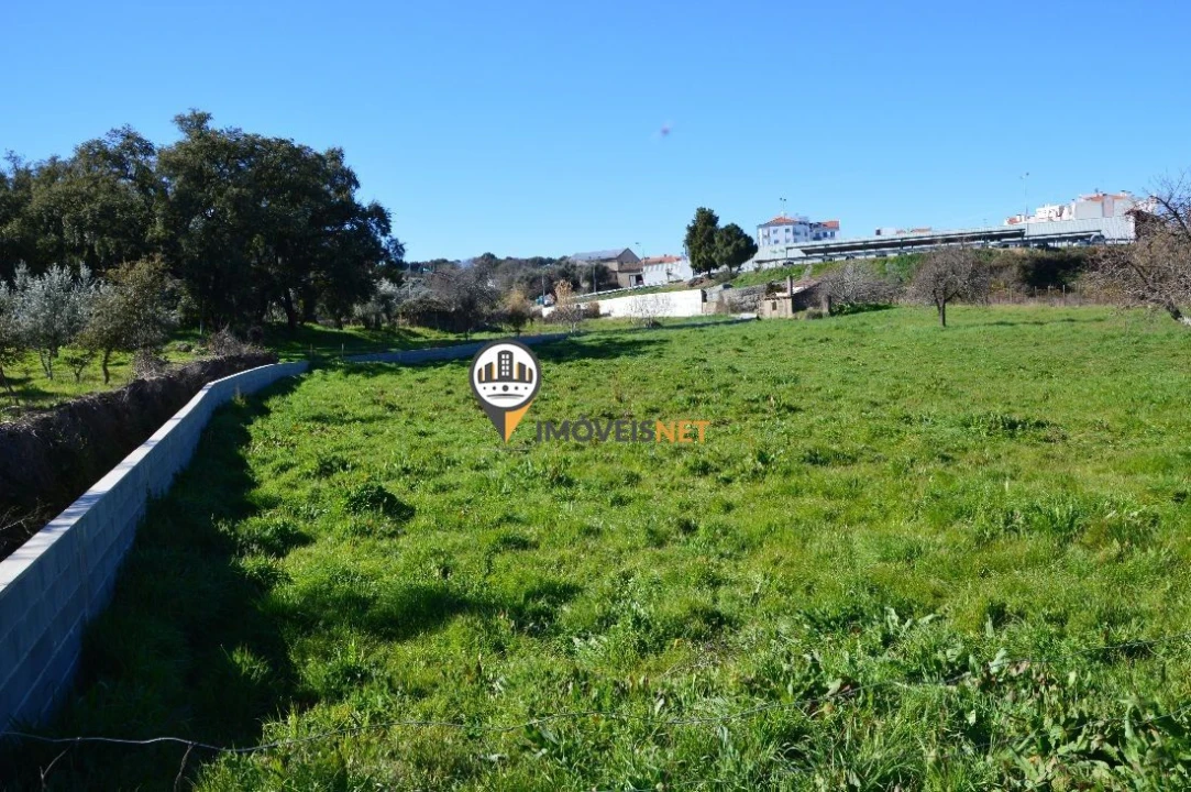 Terreno para Venda em Castelo Branco Foto 12