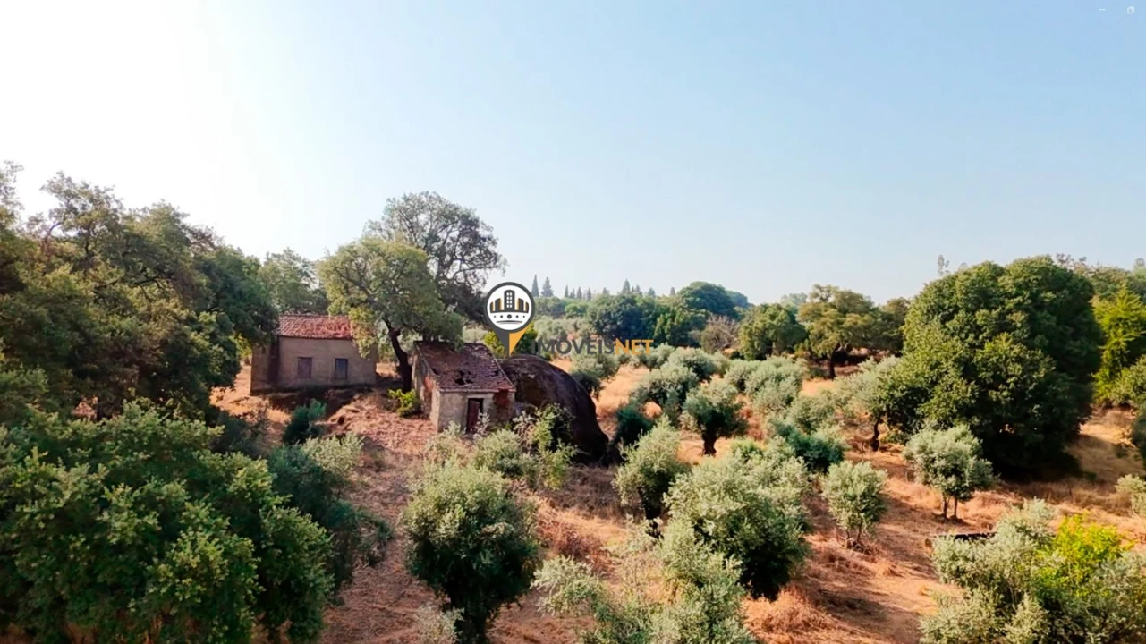 Terreno para Venda em Castelo Branco Foto 39